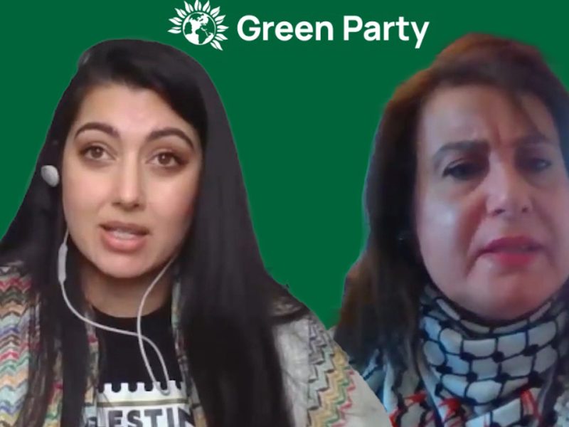 Attacked by the media, abandoned by the Greens